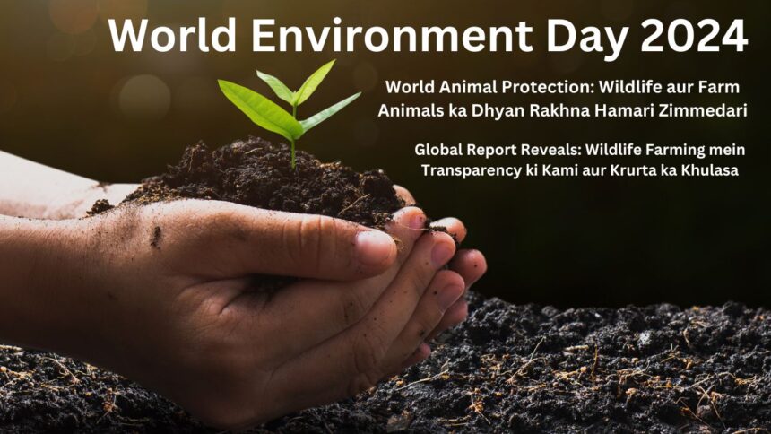 World Environment Day